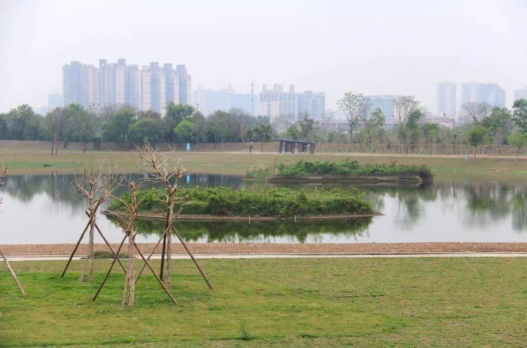 禅城基建狂魔般的速度!东平河两岸以肉眼可见的速度升值.