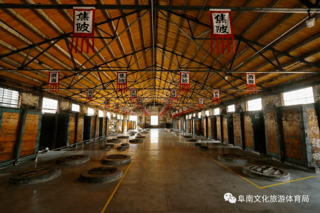 我在焦陂酒海等你