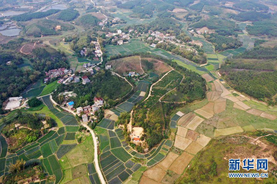 这是钦州市钦南区田园景色(3月13日摄,无人机照片).