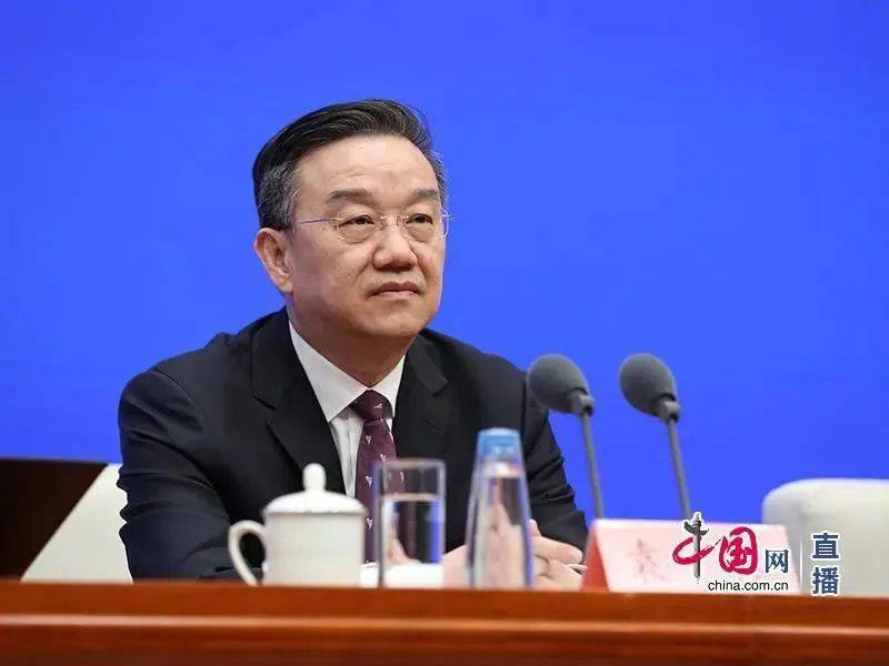 药监局药品监管司司长袁林(中国网 董宁)