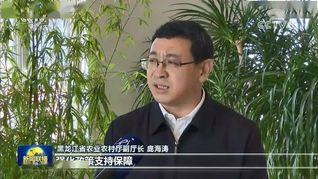 黑龙江省农业农村厅副厅长 庞海涛:贯彻落实总书记"打好种业翻身仗"