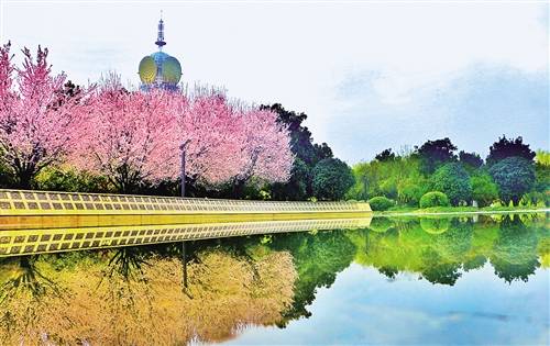 河南省柘城县千树园公园鲜花盛开,绿树成荫,美景如画.张子斌摄