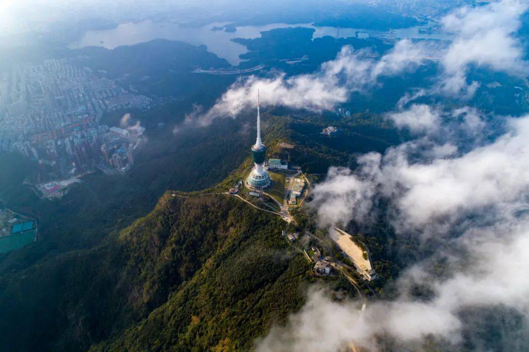 招飞丨无人机航拍梧桐山杜鹃谷活动