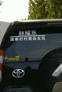 搞笑gif动态图:爱美的鹦鹉,用报纸装扮自己