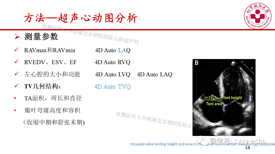 房颤患者右房重构与功能性三尖瓣反流之间的病理生理联系:三维超声