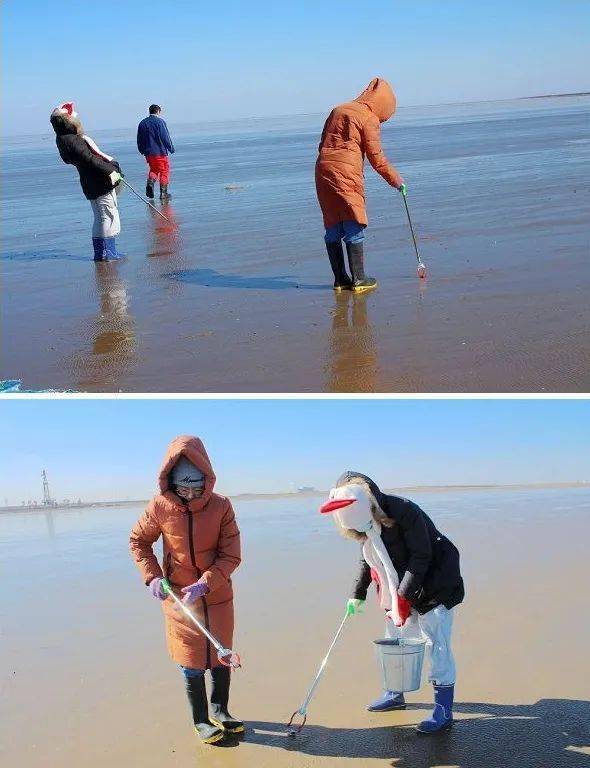 汇总滨海新区7处赶海绝佳地点拾贝玩沙踏浪