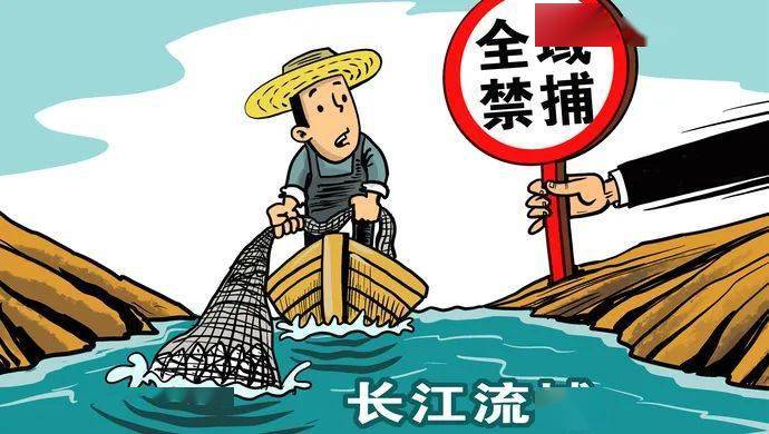 去年12月24至25日,长江"十年禁渔"长三角地区三省一市人大联动监督