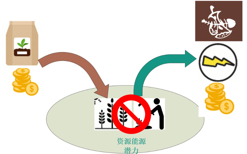 用循环经济趋动乡村振兴基于有机生活垃圾资源化利用的思考