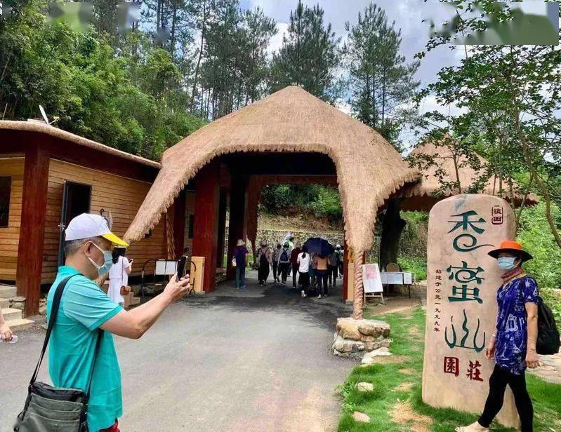 不少家长带孩子到周边乡村体验摘果的乐趣,花都宝桑园,从化香蜜山生态