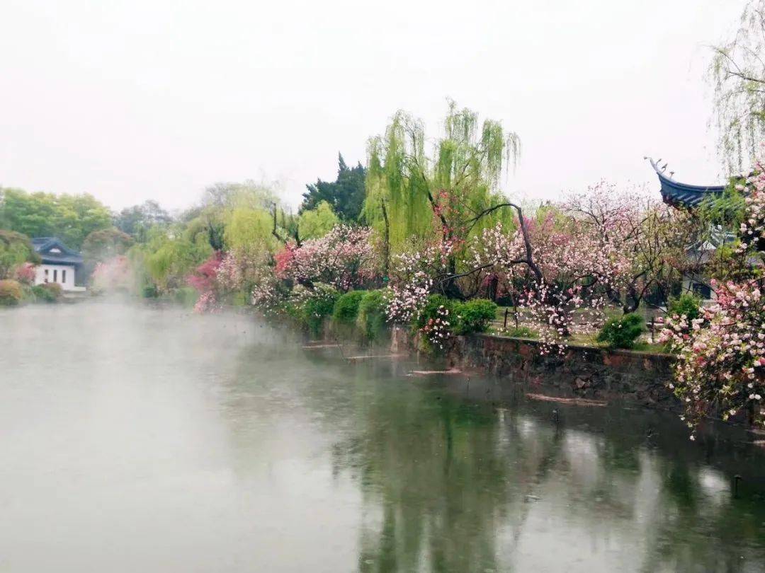 烟雨蠡园别样美