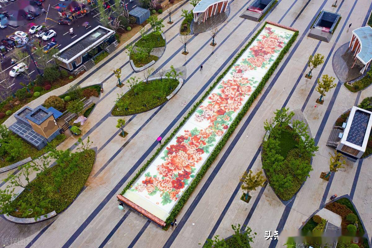 洛阳牡丹广场69米长巨幅玻璃牡丹画惊艳全城众多市民打卡拍照