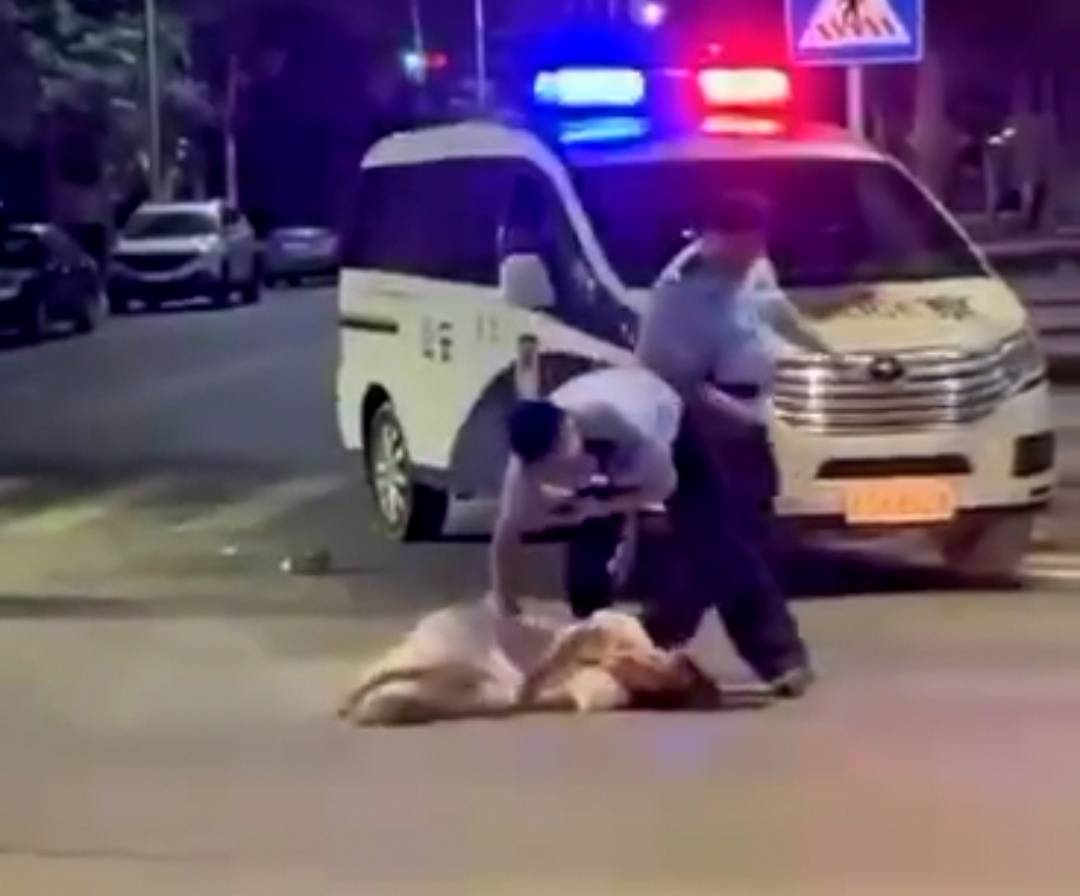 海南东方一女子耍酒疯当街拦车还辱骂袭击民警,被民警