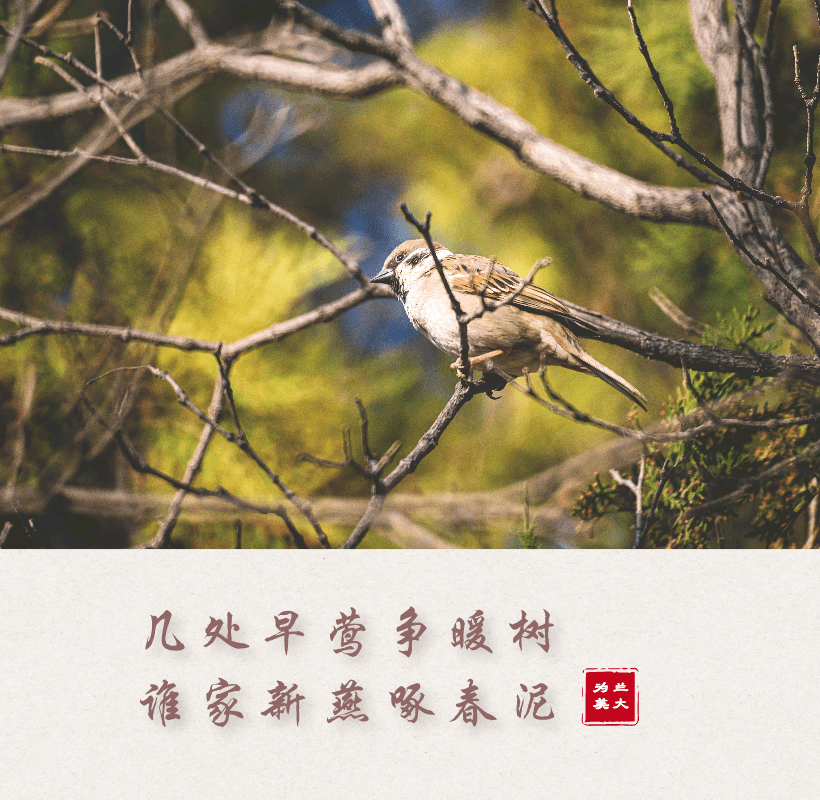 以