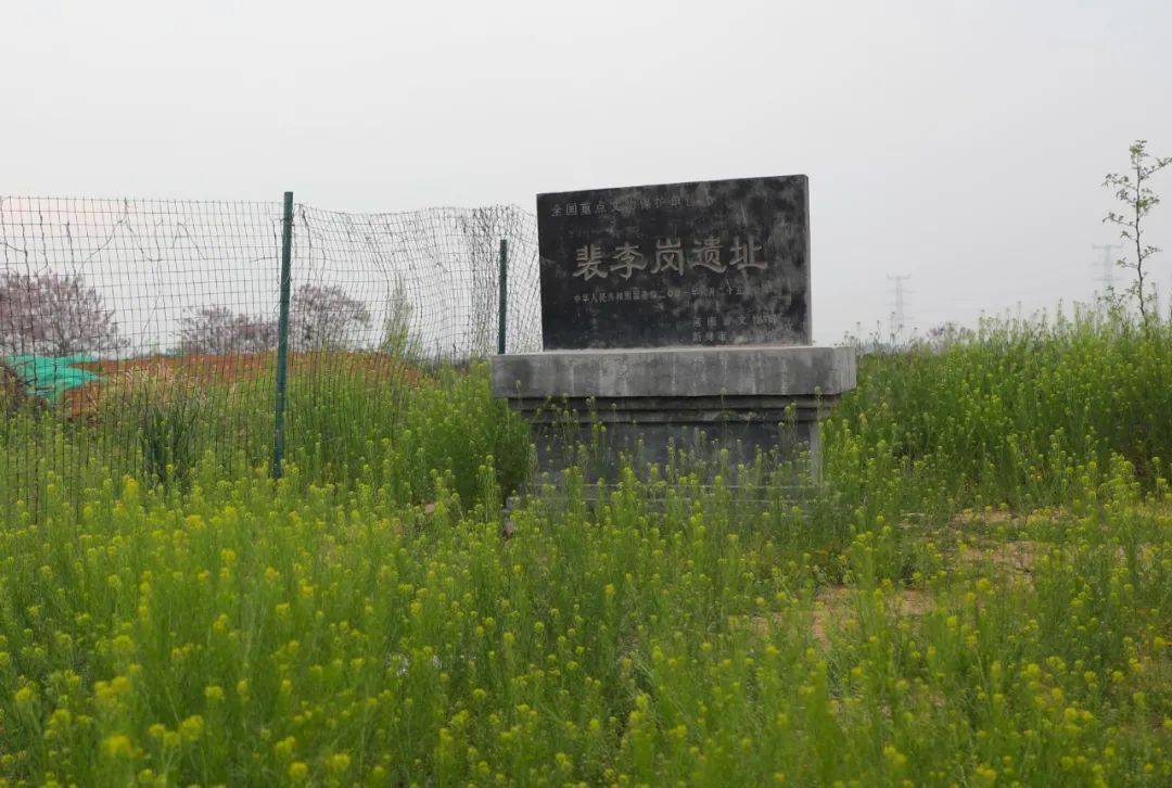 "去郑州,看华夏古国"活动采访团走进位于新郑市新村镇的裴李岗遗址
