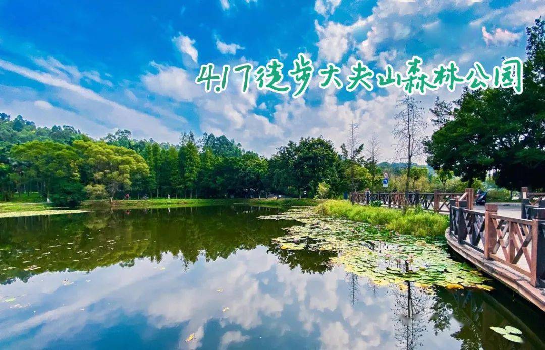 4月17日徒步大夫山森林公园,8公里山湖绿道