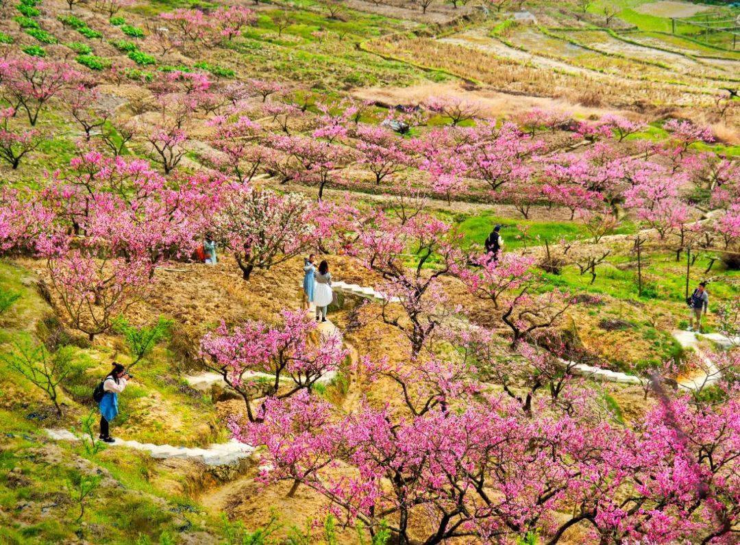 春天在哪里,在福州的这些风景里!_公园