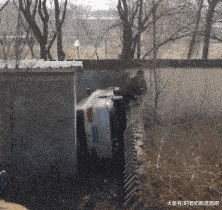 穷人家的孩子早当家,一早上收了一亩地