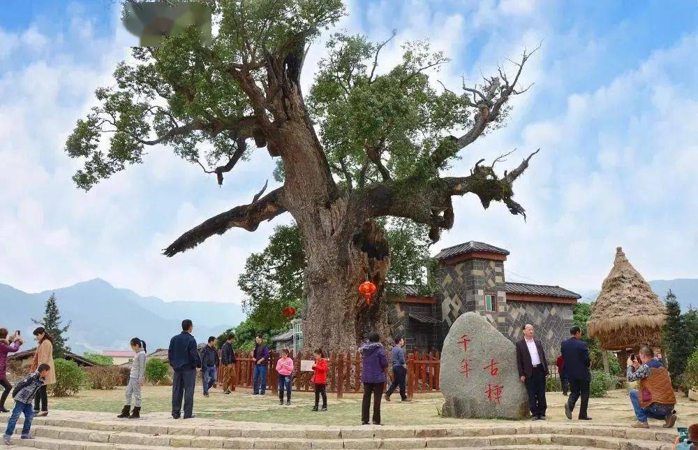 入选福建首批"金牌旅游村!彩虹花海,雨林水漂…这处千年古村美醉了!