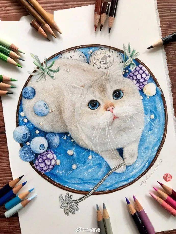 可爱小猫全身彩铅画 |彩铅动物毛发绘画技巧 |彩铅画小猫教程步骤图