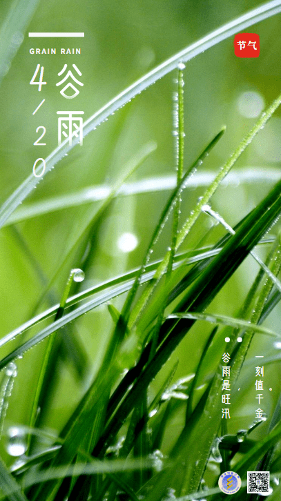 谷雨 寓意着寒潮天气基本结束 大地回暖 送春迎下  万物一片生机