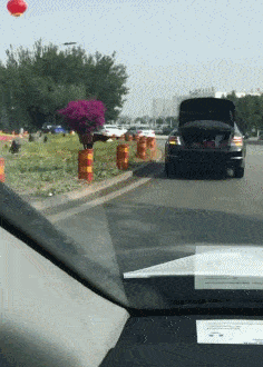 搞笑gif:妹子,你这也不怕丢人,喜欢就去买,顺人家的
