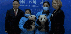 爆笑GIF:妹子,看来夏天是真的来了!
