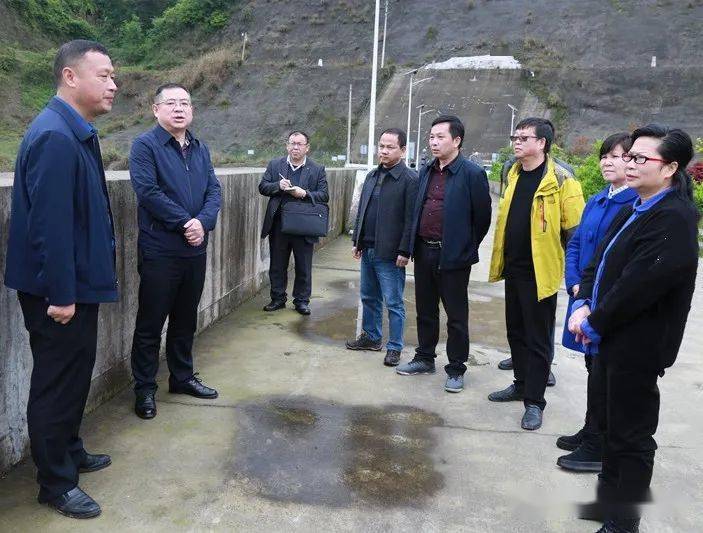 县人大常委会主任吴永萍,县人大常委会副主任易尚银,肖梅红,副县长吴