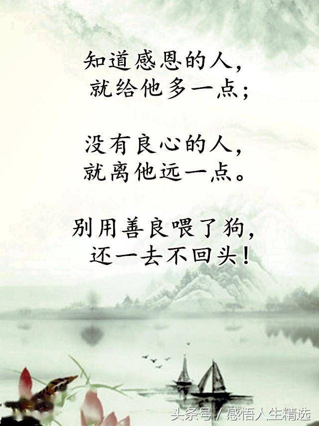 人,不能太心软了