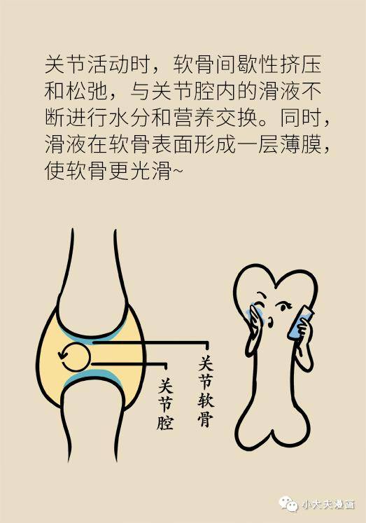 爬楼难,起床僵,关节痛得要造反,这究竟是什么病?