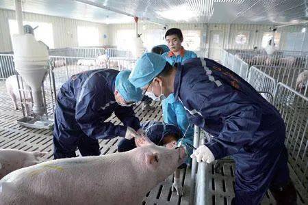 2021年4月24日是第21个世界兽医日(world veterinary day),主题是"