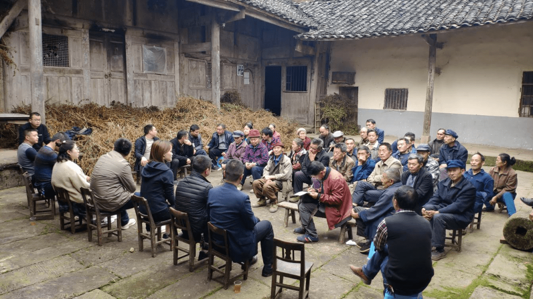 万源市曾家乡龙泉村:"金叶"铺就致富路
