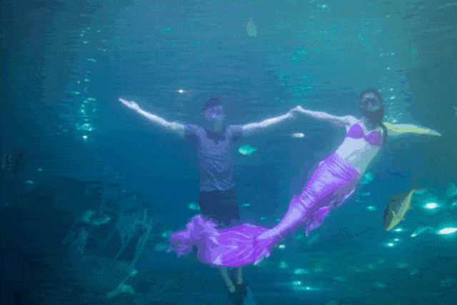 meet fairy tales and meet nature 海洋科普区,梦幻水母宫区