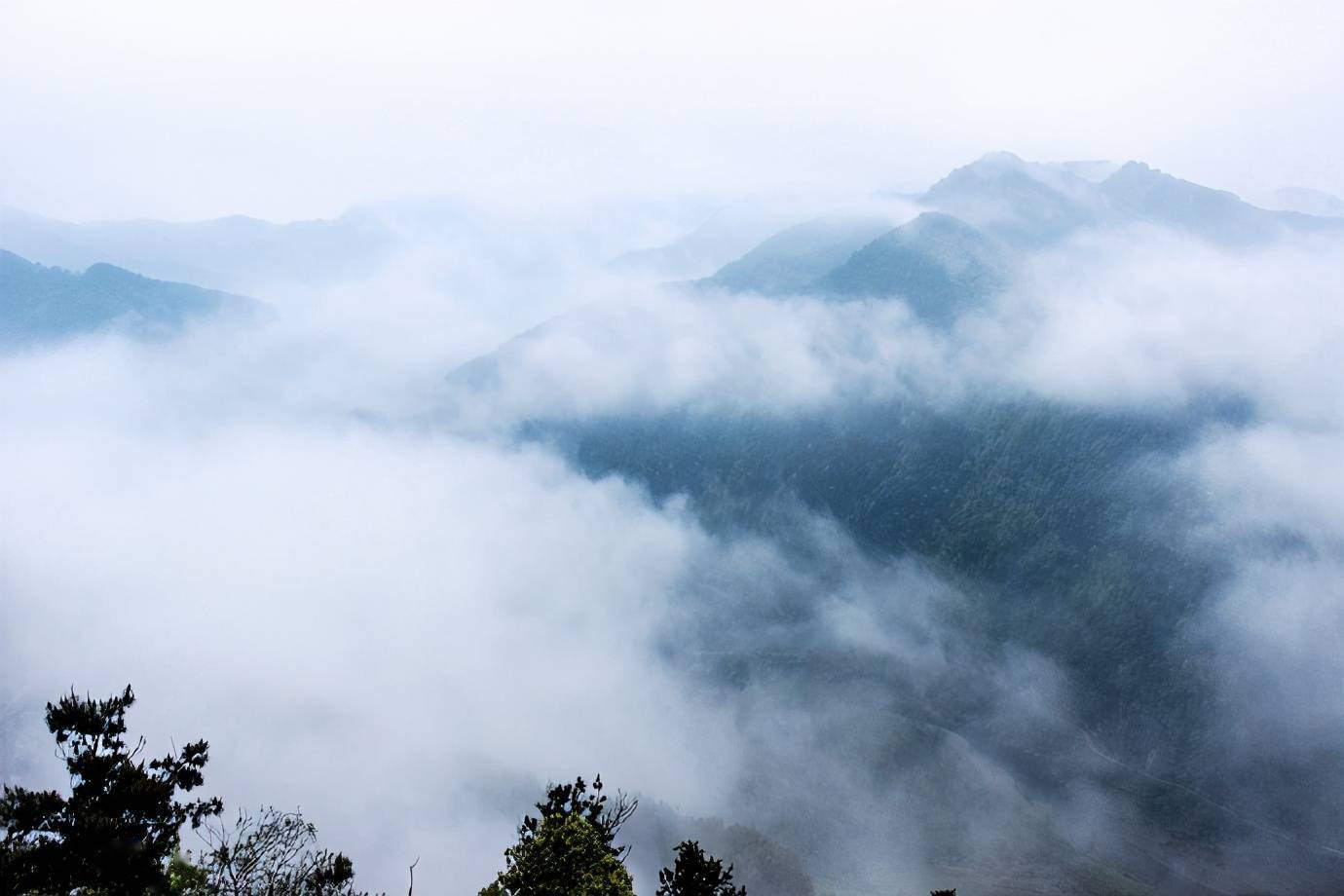 晨雾里的下汰村像在云端里人在雾中行雾在山间游感觉很奇妙