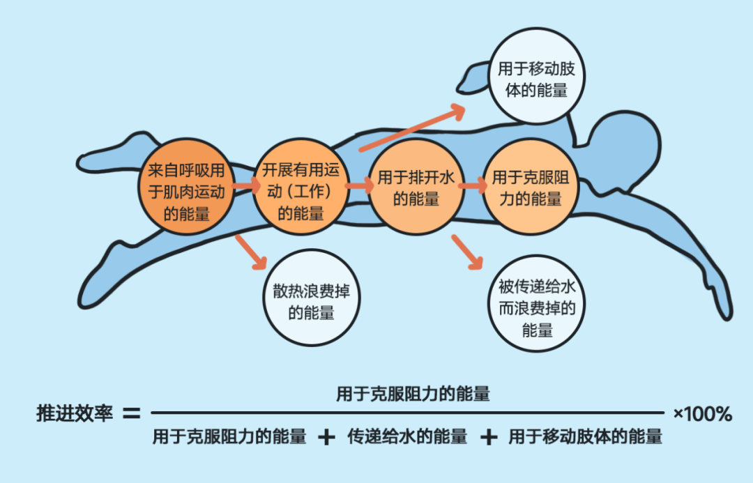 健身小知识 | 这些游泳的好处,你绝对想不到