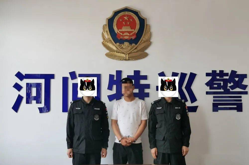 破案抓逃,主动出击,河间公安连续抓获多名网上逃犯