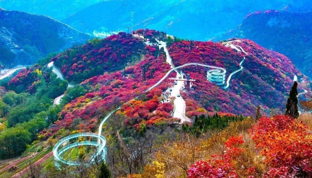 五一去哪?淄博这些游玩攻略请收好
