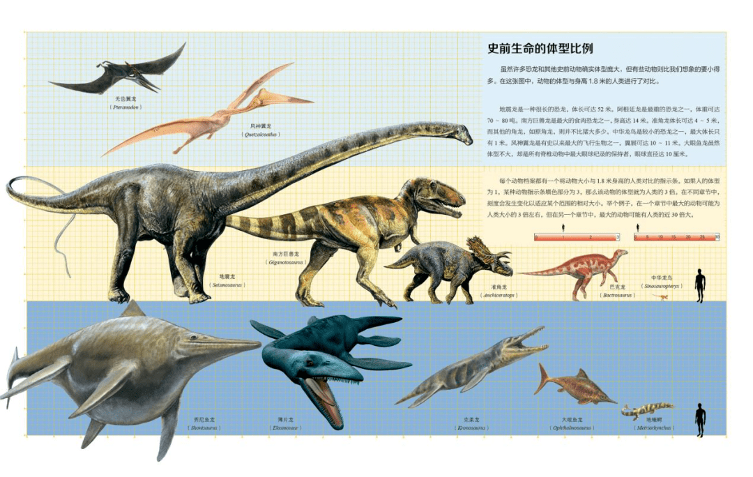 dk总编 中科院专家联手打造,世界恐龙完整指南!