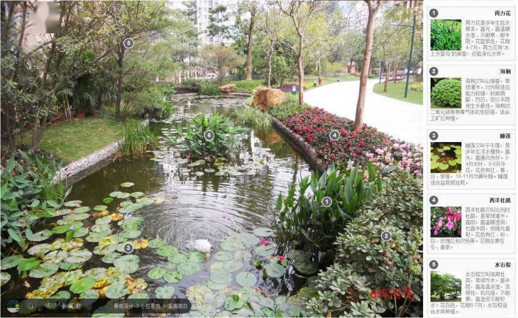 植物设计本质|100款植物配置案例集锦_乡村