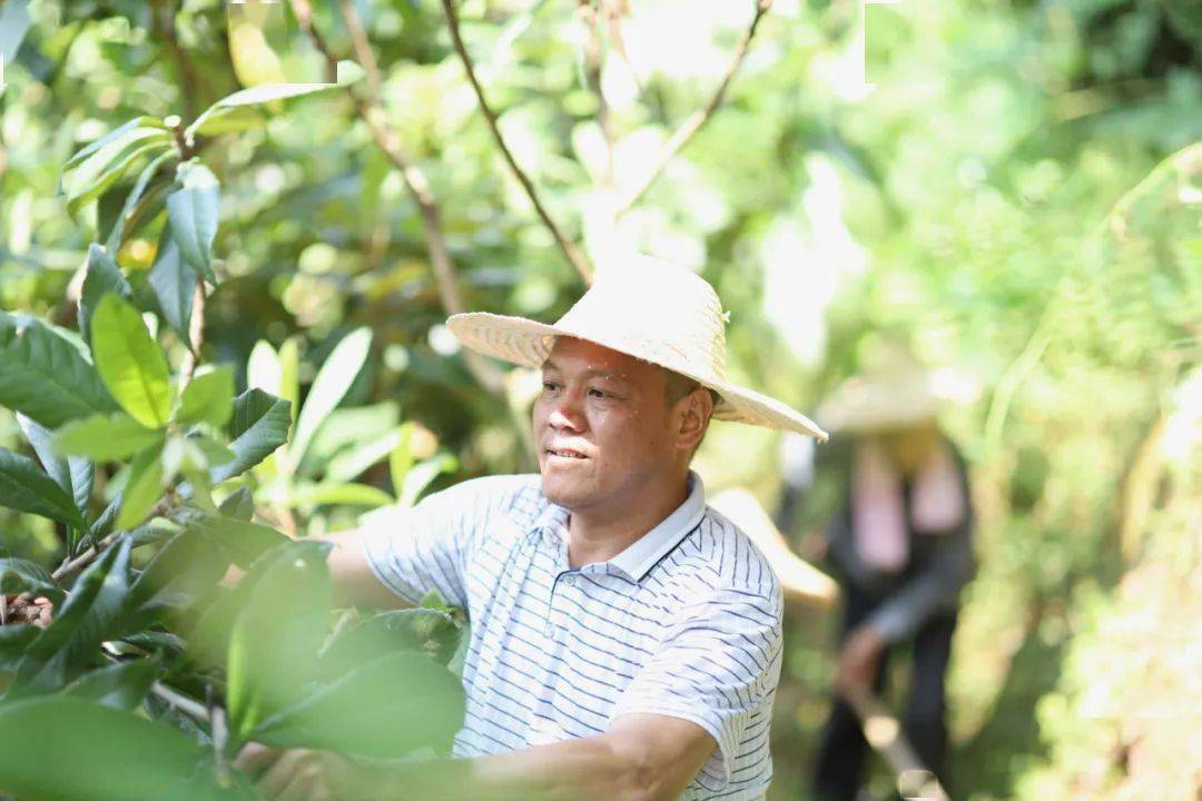 苏天恭永春县蓬壶镇仙岭村党支部书记投身卫浴行业三十多年,不忘初心