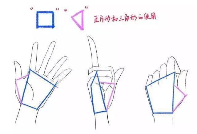 【基础教程】各种手造型的画法,不会画手的一定要收藏!