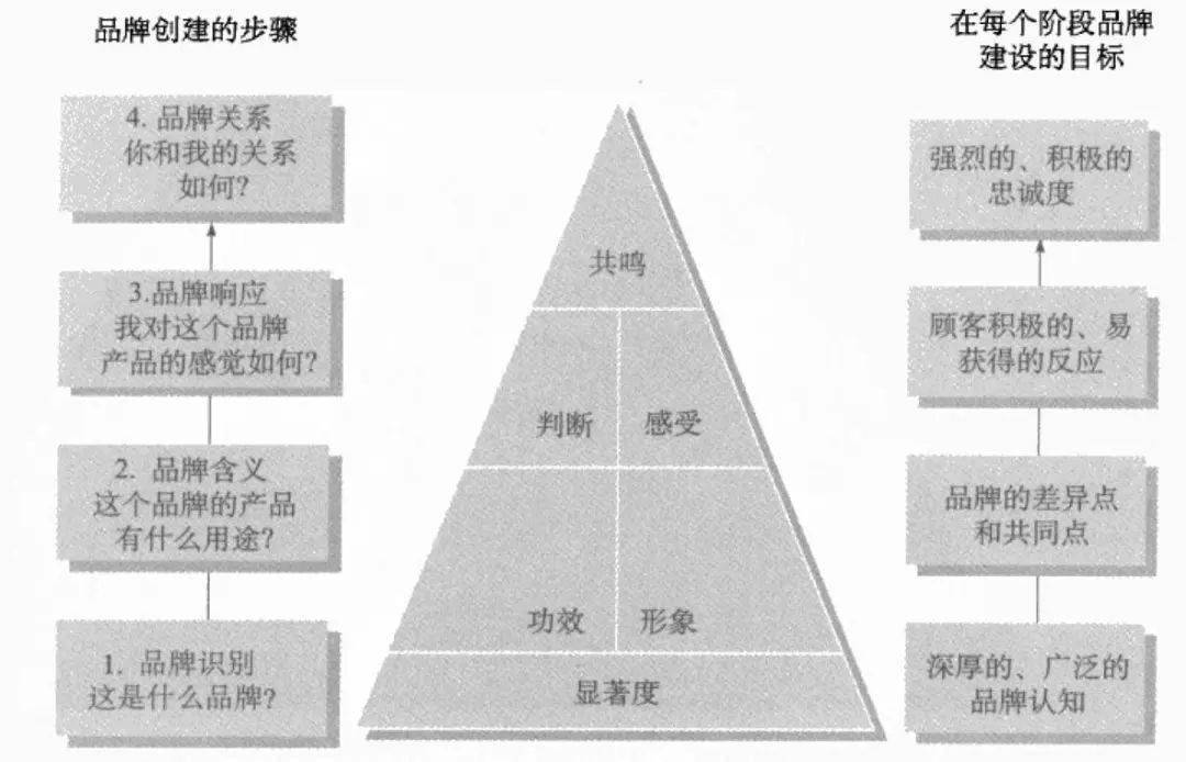 基于理性与感性双重路径的品牌资产构建——读《战略品牌管理》