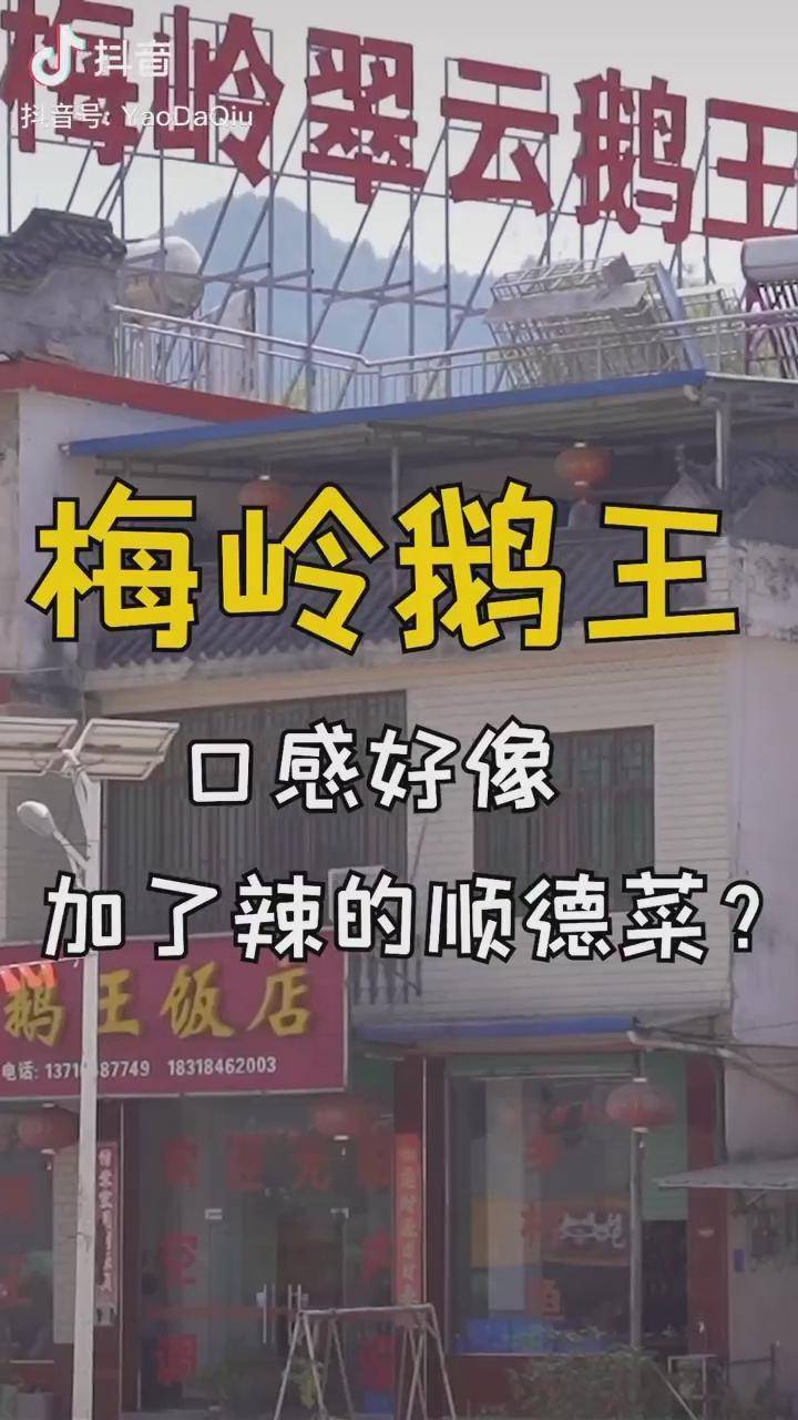 在梅岭一条街就有几十家鹅王我们竟然吃出了顺德味广州美食抖音美食