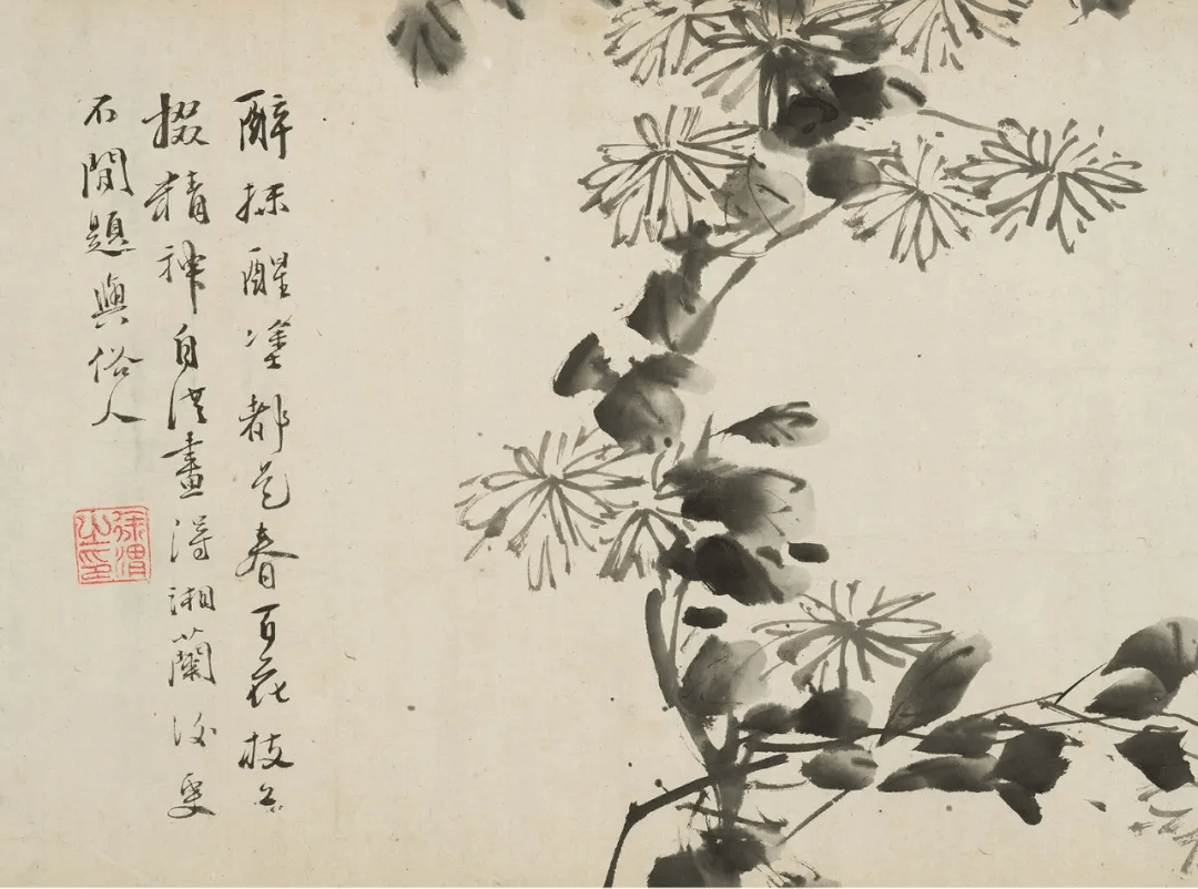徐渭:墨花图卷