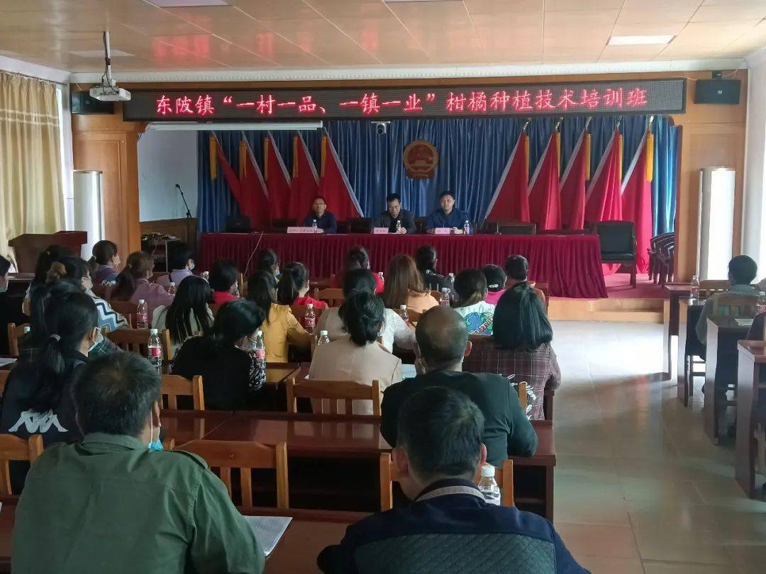 东陂镇举办农业种植技术培训班