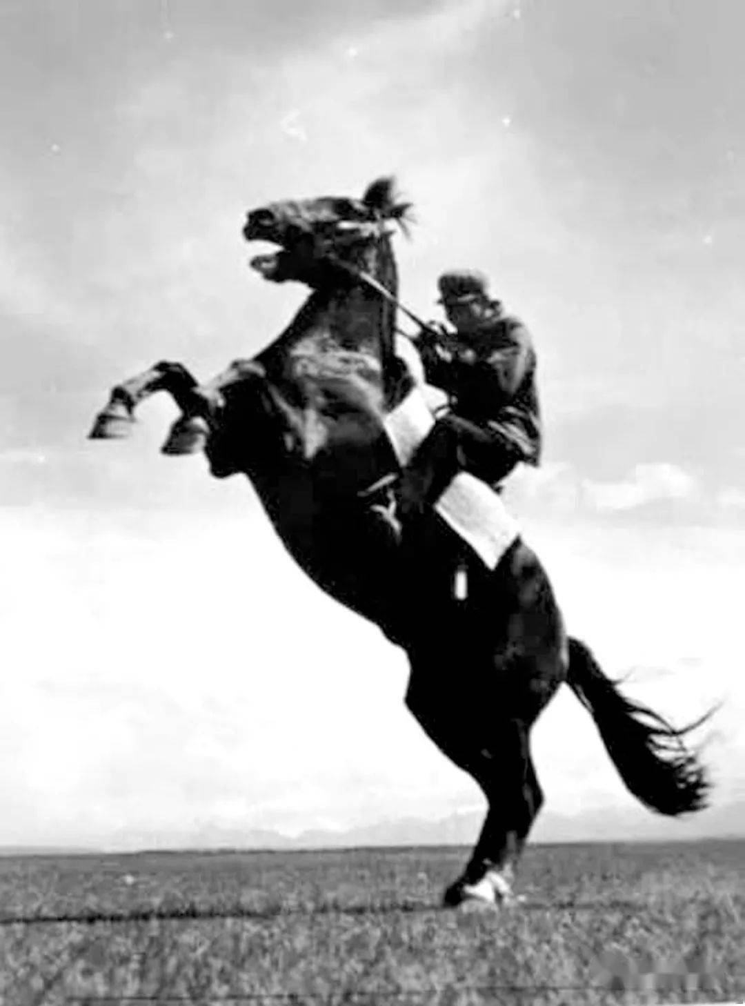 内蒙古骑兵 ——为了民族解放冲锋陷阵