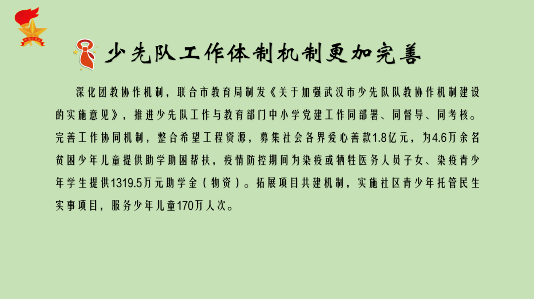 红领巾心向党 星星火炬闪光芒——武汉少先队近五年工作展示