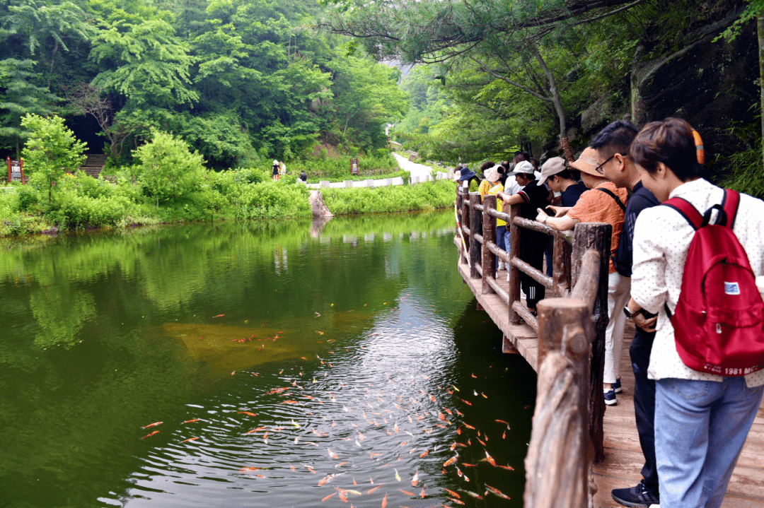 感恩母亲节奇境栾川天河大峡谷送出重磅福利