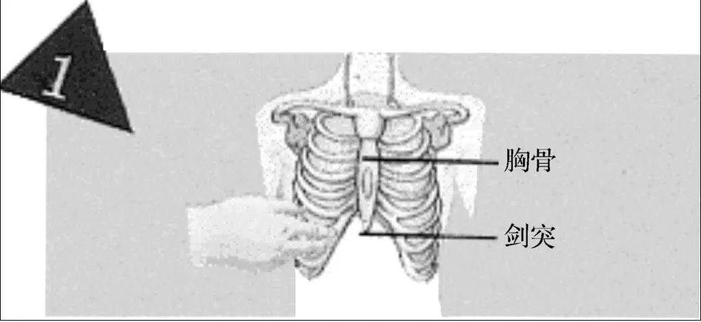 施救者侧,找寻肋骨下缘,沿肋骨缘向上滑动,至肋骨与胸骨交汇的胸窝处