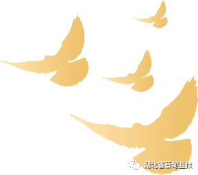 青春向党 奋斗强国 ——蔡甸监狱,汉阳监狱联合举行"学党史,强信念,跟