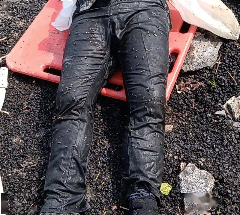 协查通报聊城一养猪场内发现一无名男尸